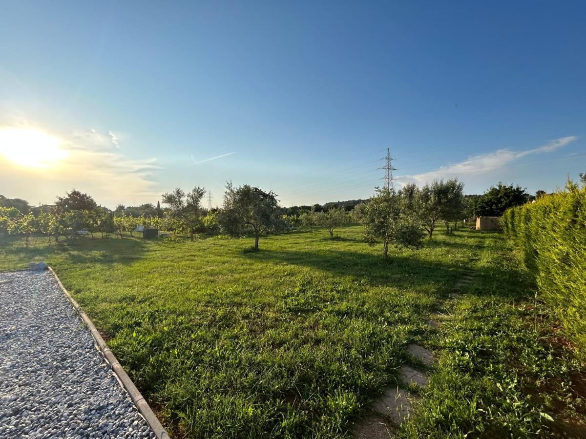 Dora House With Wifi And Outdoor Swimming Pool Villa Pula Buitenkant foto